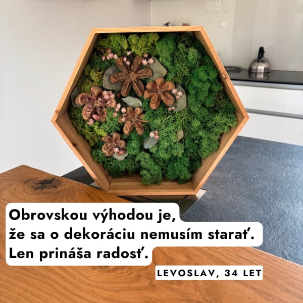 bezudrzbovy_machovy_hexagon